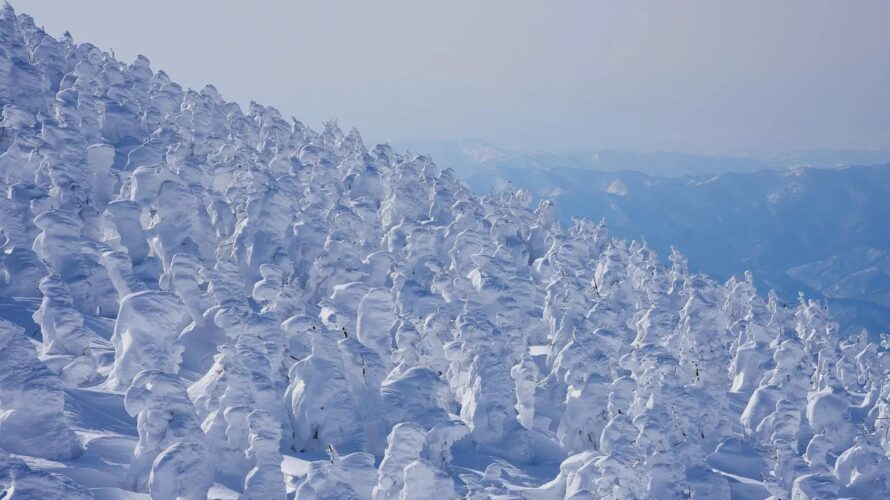 とても寒かった一日：12月12日（金）後場大引け