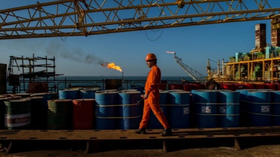 戦争よりお花見！？でも原油が・・・